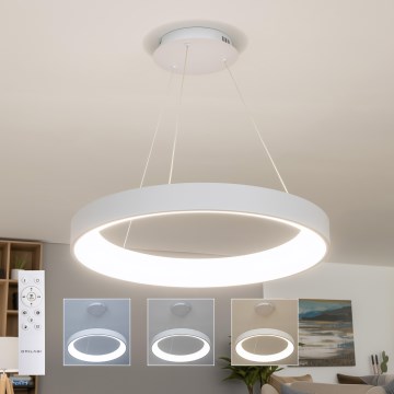 Brilagi - FALCON II LED-dimmbare Pendelleuchte mit Seilabhängung LED/99W/230V 3000-6500K Ø 60 cm weiß + Fernbedienung