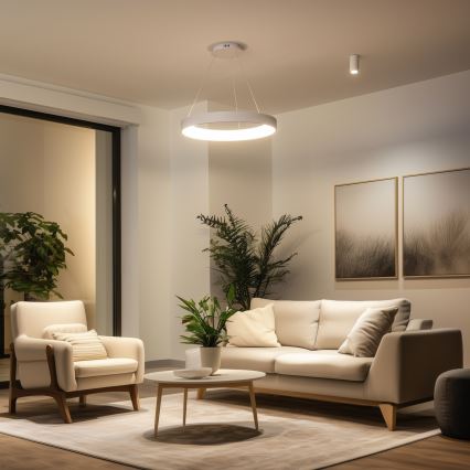 Brilagi - FALCON II LED-dimmbare Pendelleuchte mit Seilabhängung LED/99W/230V 3000-6500K Ø 60 cm weiß + Fernbedienung