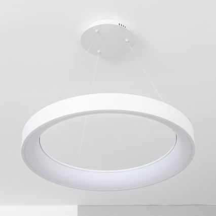 Brilagi - FALCON II LED-dimmbare Pendelleuchte mit Seilabhängung LED/99W/230V 3000-6500K Ø 60 cm weiß + Fernbedienung