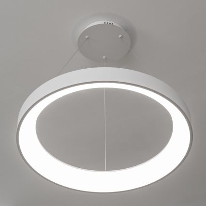 Brilagi - FALCON II LED-dimmbare Pendelleuchte mit Seilabhängung LED/99W/230V 3000-6500K Ø 60 cm weiß + Fernbedienung