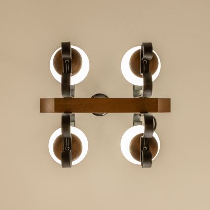 Brilagi - Kronleuchter an Kette QUEEN 4xE14/40W/230V Buche/Walnuss