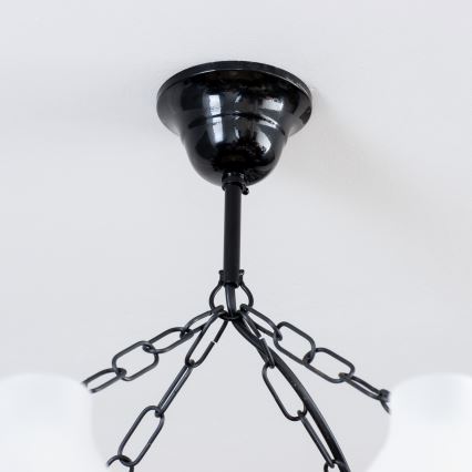 Brilagi - Kronleuchter an Kette QUEEN 8xE14/40W/230V Buche/Walnuss