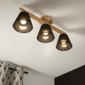 Brilagi - LED  Anbauleuchte ANTHONY 3xE14/40W/230V Eiche/schwarz