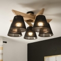 Brilagi - LED  Anbauleuchte ANTHONY 5xE14/40W/230V Eiche/schwarz