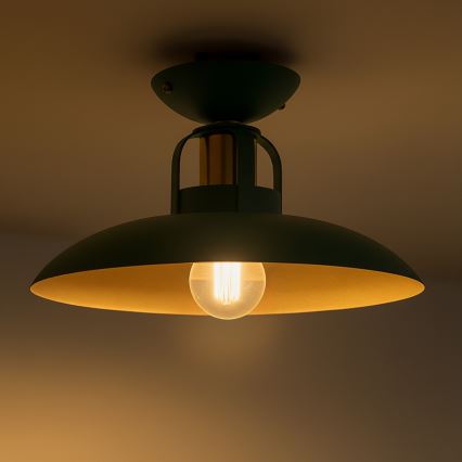 Brilagi - LED Anbauleuchte FLAMENGO 1xE27/60W/230V grün