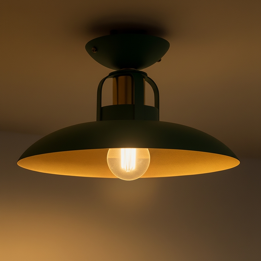 Brilagi - LED Anbauleuchte FLAMENGO 1xE27/60W/230V grün