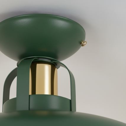 Brilagi - LED Anbauleuchte FLAMENGO 1xE27/60W/230V grün