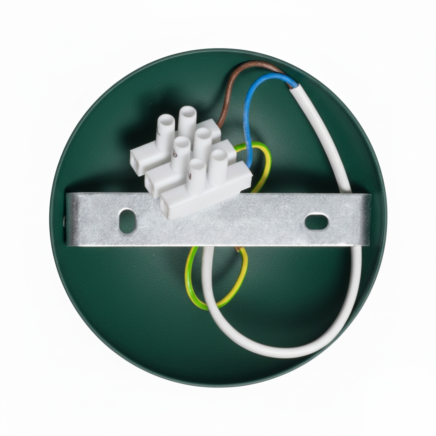 Brilagi - LED Anbauleuchte FLAMENGO 1xE27/60W/230V grün