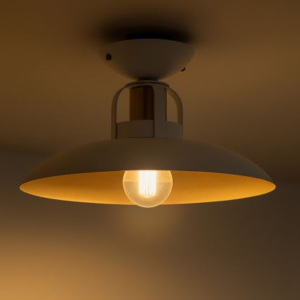 Brilagi - LED Anbauleuchte FLAMENGO 1xE27/60W/230V weiß