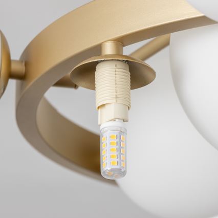 Brilagi - LED-Anbauleuchte MILLA 10xG9/3W/230V golden/weiß