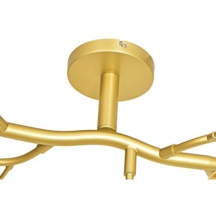 Brilagi - LED-Anbauleuchte MISTEL 15xG9/3W/230V golden
