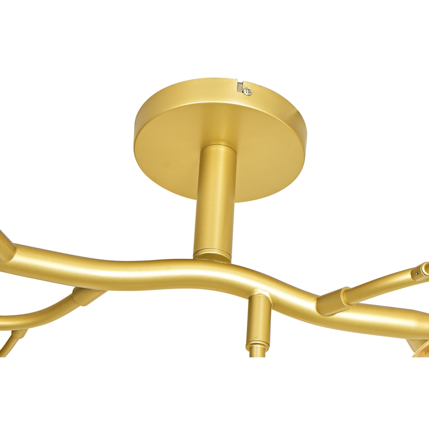 Brilagi - LED-Anbauleuchte MISTEL 15xG9/3W/230V golden