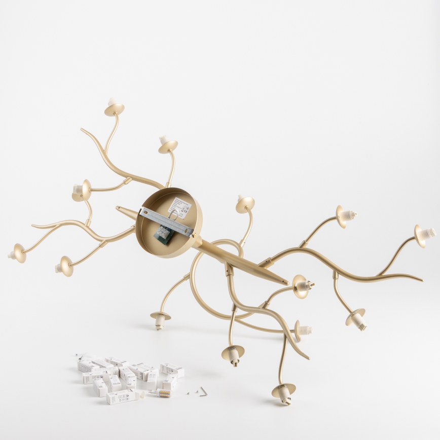 Brilagi - LED-Anbauleuchte MISTEL 15xG9/3W/230V golden