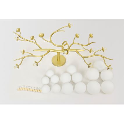 Brilagi - LED-Anbauleuchte MISTEL 15xG9/3W/230V golden/weiß