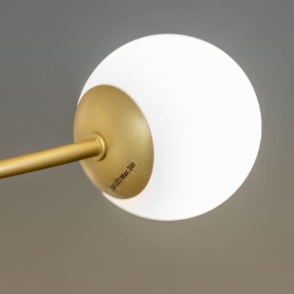 Brilagi - LED-Anbauleuchte MISTEL 15xG9/3W/230V golden/weiß