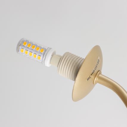 Brilagi - LED-Anbauleuchte MISTEL 15xG9/3W/230V golden/weiß