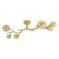 Brilagi - LED-Anbauleuchte MISTEL 6xG9/3W/230V golden