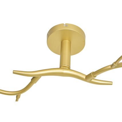 Brilagi - LED-Anbauleuchte MISTEL 6xG9/3W/230V golden