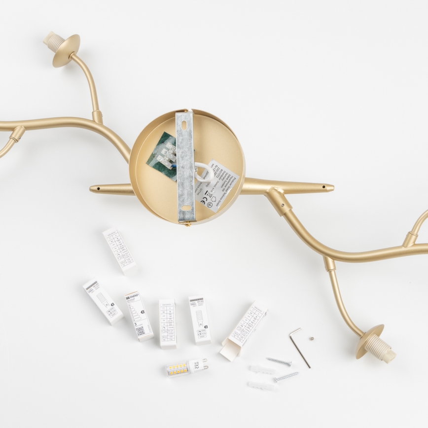 Brilagi - LED-Anbauleuchte MISTEL 6xG9/3W/230V golden