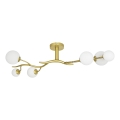 Brilagi - LED-Anbauleuchte MISTEL 6xG9/3W/230V golden/weiß