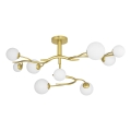 Brilagi - LED-Anbauleuchte MISTEL 9xG9/3W/230V golden/weiß
