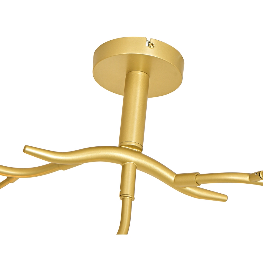 Brilagi - LED-Anbauleuchte MISTEL 9xG9/3W/230V golden/weiß