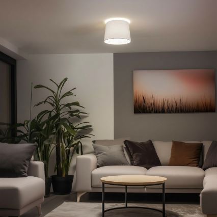 Brilagi - LED-Aufbau-Deckenleuchte CERIA 1xE27/40W/230V Ø 30 cm weiß