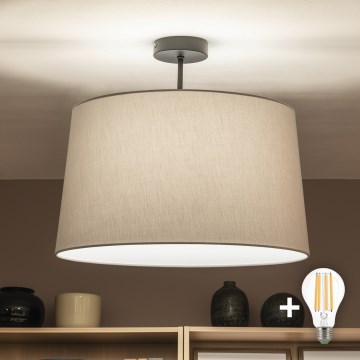 Brilagi - LED-Aufbau-Deckenleuchte CERIA 1xE27/60W/230V Ø 45 cm schwarz/grau