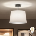 Brilagi - LED-Aufputz-Deckenleuchte CERIA 1xE27/60W/230V Ø 30 cm schwarz/weiß