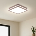Brilagi - LED Außen-Deckenleuchte BENE LED/24W/230V 26x26 cm braun IP54