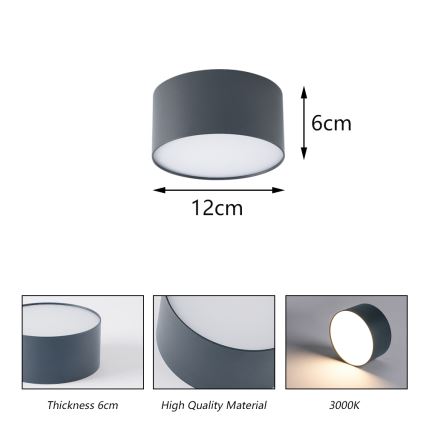 BRILAGI - LED Außen-Deckenleuchte FORIS LED/14W/230V Ø 12 cm anthrazit IP44