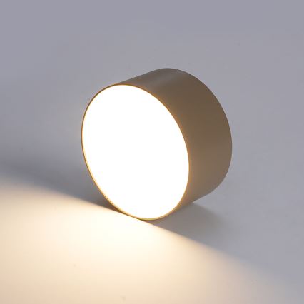 BRILAGI - LED-Außen-Deckenleuchte FORIS LED/14W/230V Ø 12 cm beige IP44