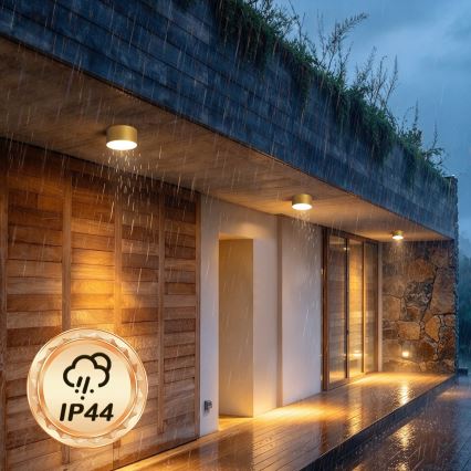 BRILAGI - LED Außen-Deckenleuchte FORIS LED/14W/230V Ø 12 cm goldfarben IP44