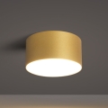 BRILAGI - LED Außen-Deckenleuchte FORIS LED/14W/230V Ø 12 cm goldfarben IP44