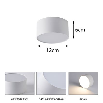 BRILAGI - LED Außen-Deckenleuchte FORIS LED/14W/230V Ø 12 cm weiß IP44