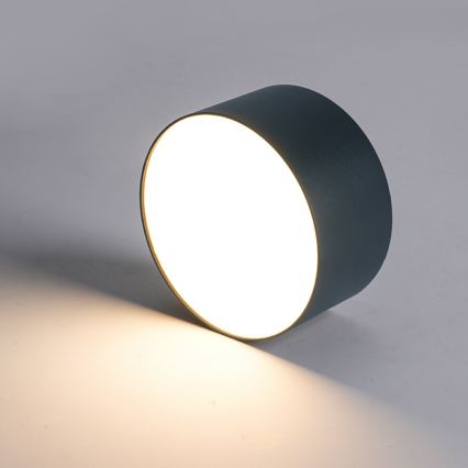 BRILAGI - LED-Außen-Deckenleuchte FORIS LED/20W/230V Ø 15 cm anthrazit IP44