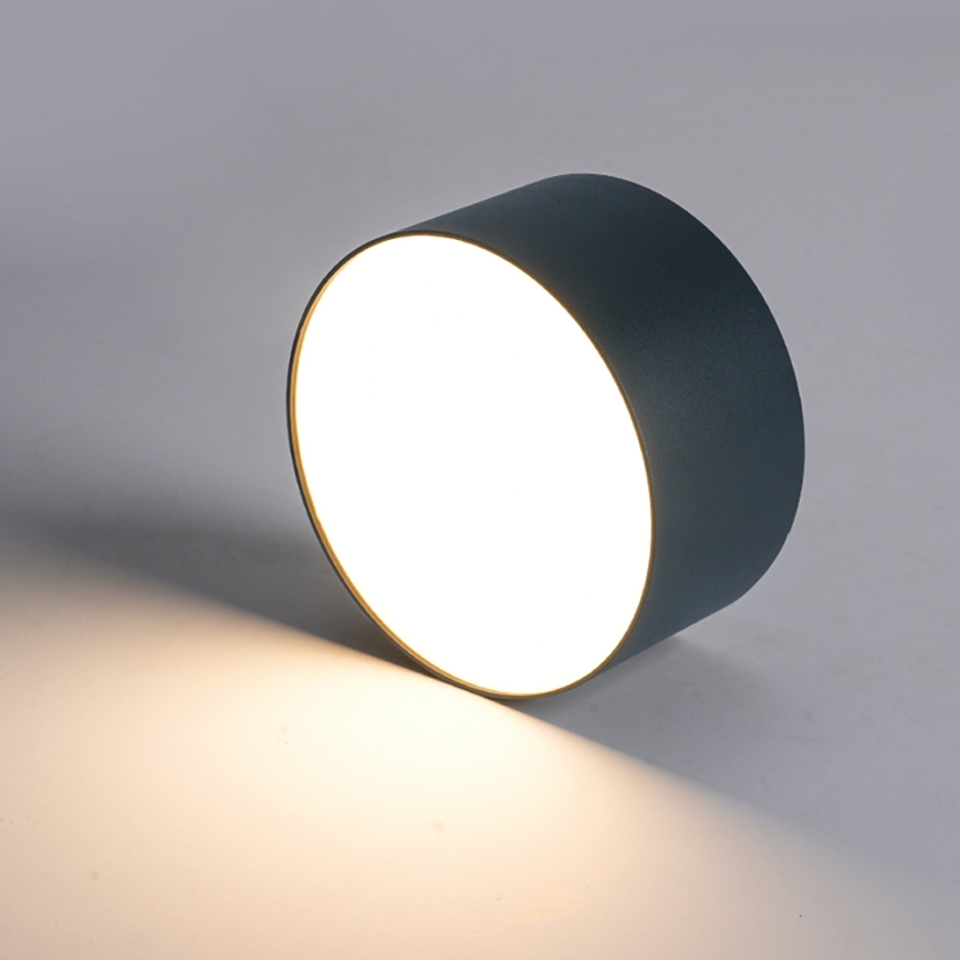 BRILAGI - LED-Außen-Deckenleuchte FORIS LED/20W/230V Ø 15 cm anthrazit IP44