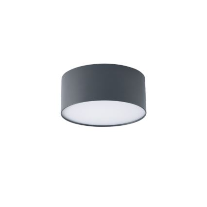 BRILAGI - LED-Außen-Deckenleuchte FORIS LED/20W/230V Ø 15 cm anthrazit IP44