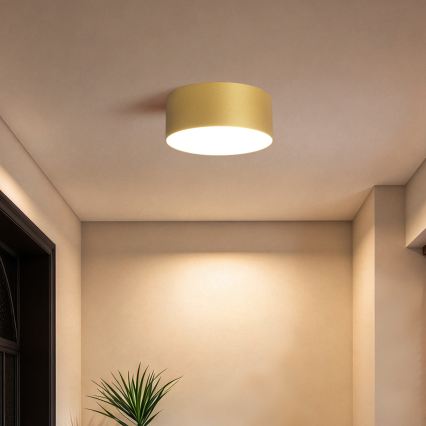 BRILAGI - LED Außen-Deckenleuchte FORIS LED/20W/230V Ø 15 cm goldfarben IP44