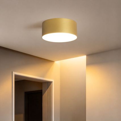 BRILAGI - LED Außen-Deckenleuchte FORIS LED/20W/230V Ø 15 cm goldfarben IP44