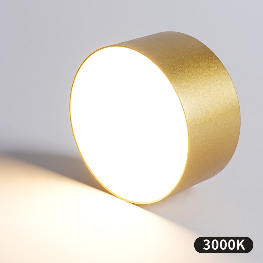 BRILAGI - LED Außen-Deckenleuchte FORIS LED/20W/230V Ø 15 cm goldfarben IP44