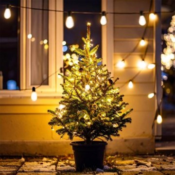 Brilagi - LED-Außen-Lichterkette 10xLED/3xAA 3,2 m IP44 warmweiß