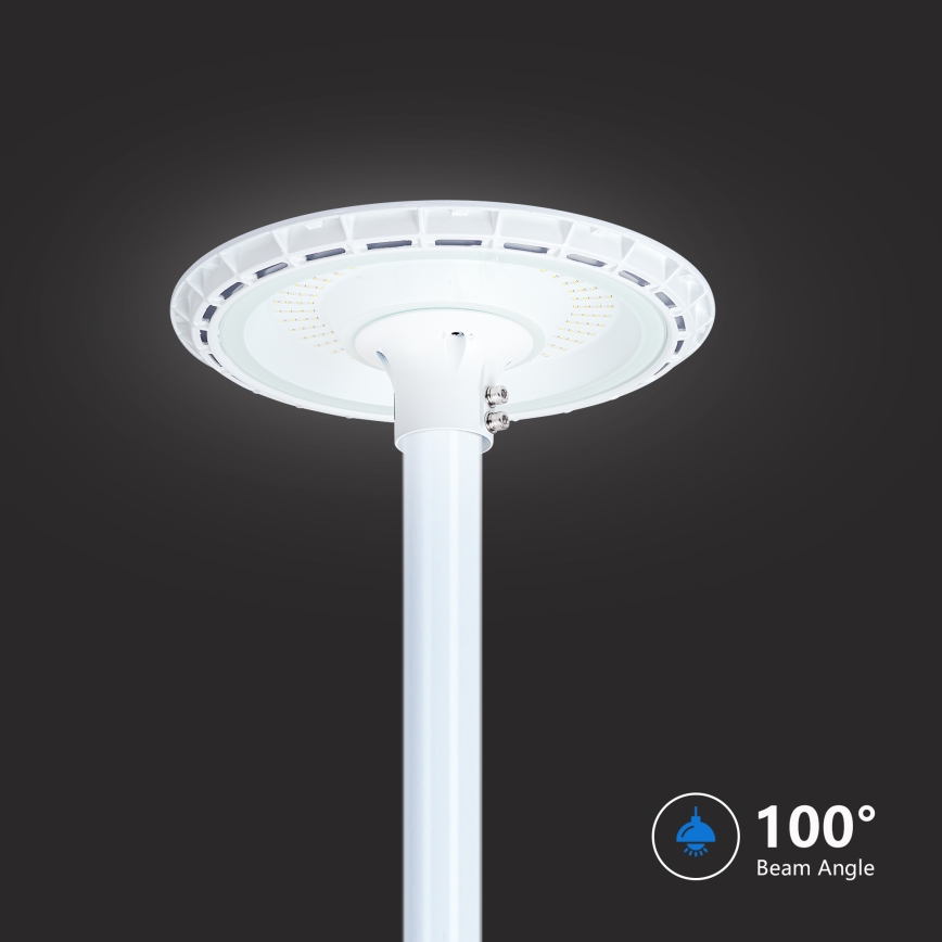 Brilagi - LED-Straßenleuchte für den Außenbereich mit 3 m Mast URBANSPARK LED/120W/230V weiß IP65