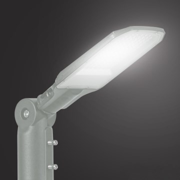 BRILAGI - LED Außen-Straßenleuchte URBANLIGHT LED/50W/230V grau IP65