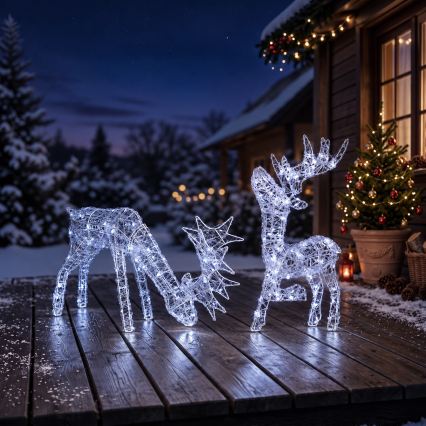 BRILAGI - LED Außen-Weihnachtsdekoration LED/3,3W/230V IP44 60x37 cm Rentier