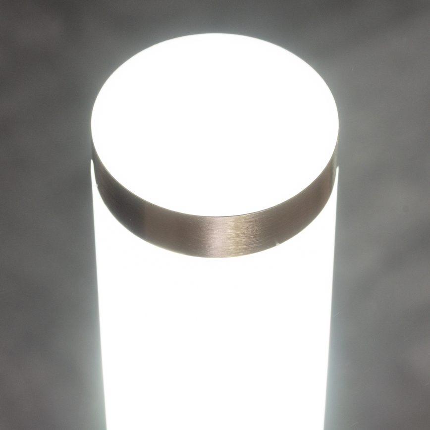 BRILAGI - LED-Außenleuchte ELIA 1xE27/7W/230V 4000K IP44 100 cm mattchrom