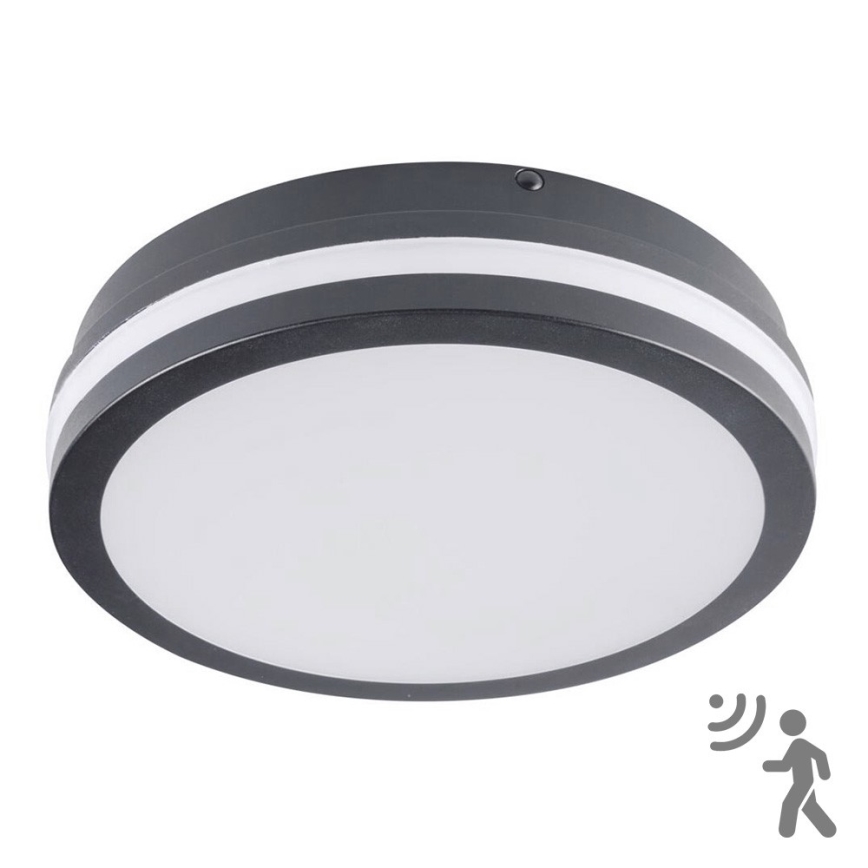Brilagi - LED-Außenleuchte mit Sensor BENE LED/18W/230V Ø 22 cm anthrazit IP54