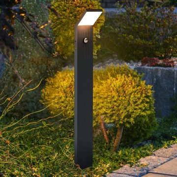 Brilagi - LED-Außenleuchte mit Bewegungsmelder RIANO LED/8W/230V Anthrazit IP65