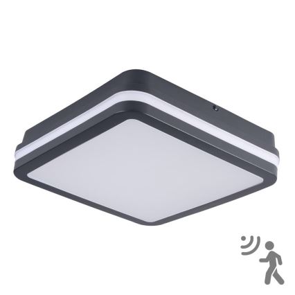 Brilagi - LED-Außenleuchte mit Sensor BENE LED/18W/230V 22x22 cm anthrazit IP54
