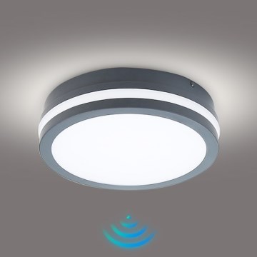 Brilagi - LED Außenleuchte mit Sensor BENE LED/18W/230V Ø 22 cm Anthrazit IP54